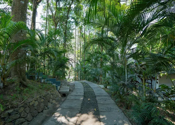 The Hive Wayanad