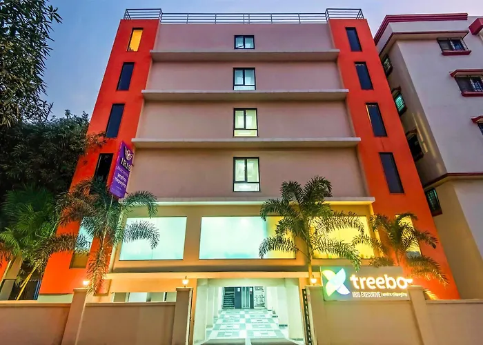Treebo Iris Executive, Hinjewadi