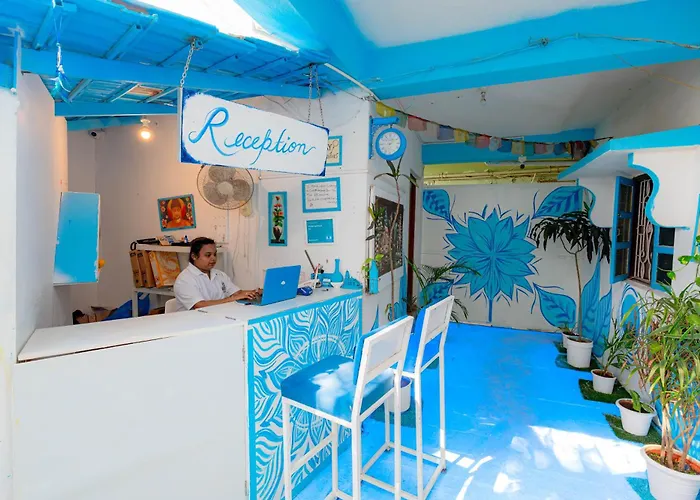 Viik Wellness Inn -3 Star Resort In Arambol Beach I Traveller'S Choice Award 2026 For Best Winning Hotel