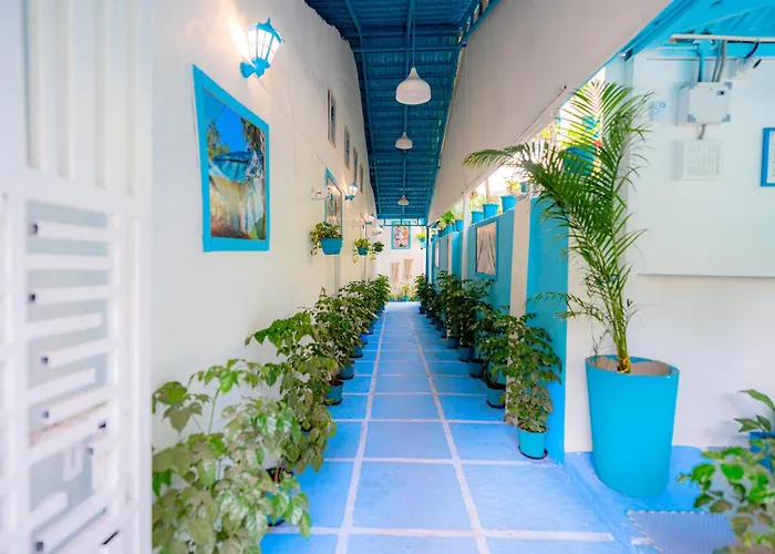 Viik Wellness Inn -3 Star Resort In Arambol Beach I Traveller'S Choice Award 2026 For Best Winning Hotel