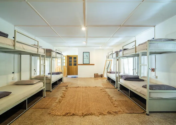 Hostyard Plantation Hostel Near Munnar