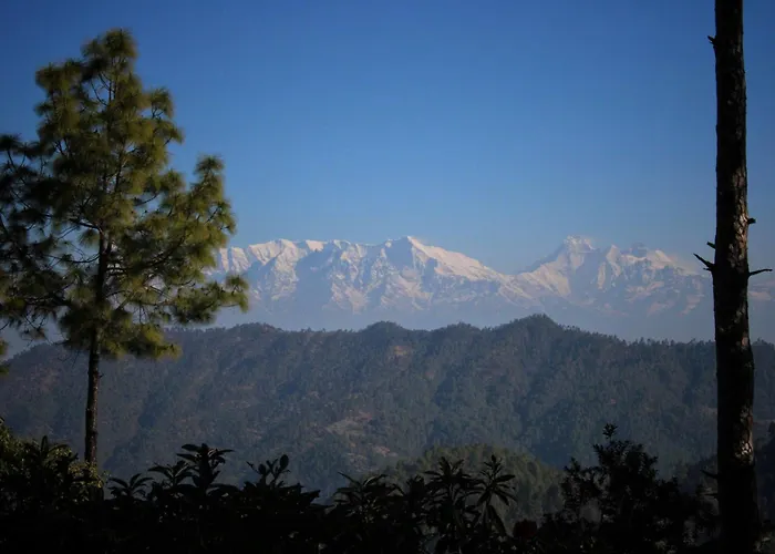 Khali Estate