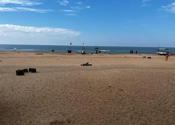 The Coastal Agonda