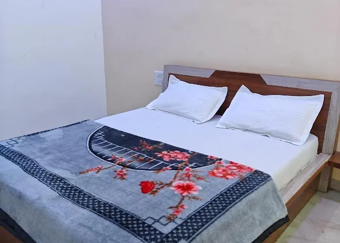 Hotel Ankit Palace