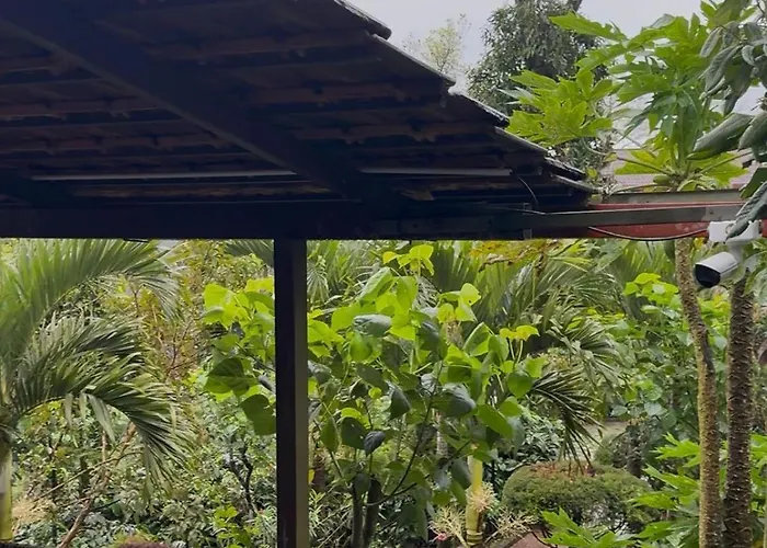 Coffee Estate Stay Coorg