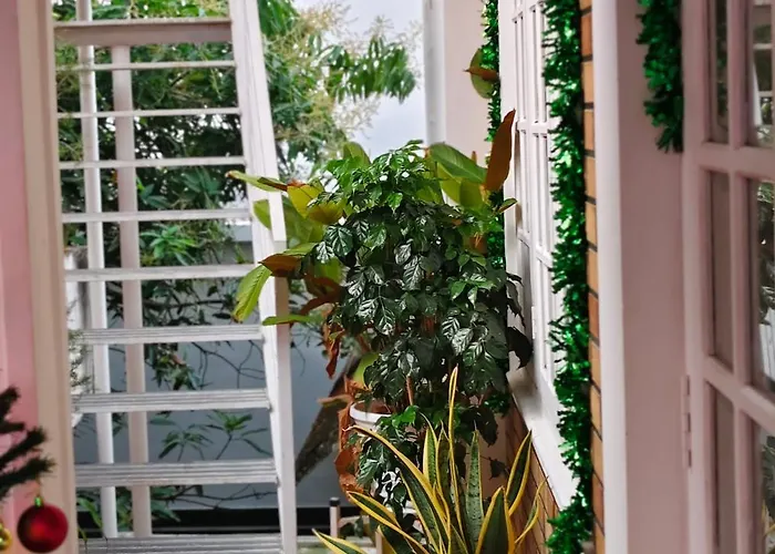 Johns' Paradise - Homestay