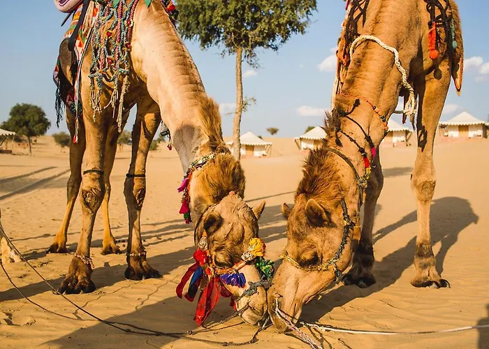 Samsara Desert Camp And Resort