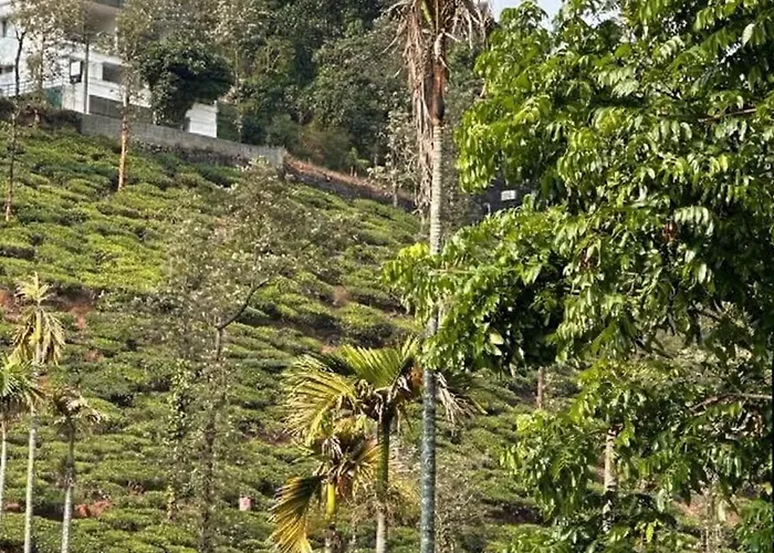 Hill View Vythiri Holiday Home