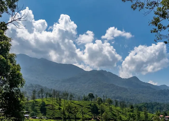 Hill View Vythiri Holiday Home