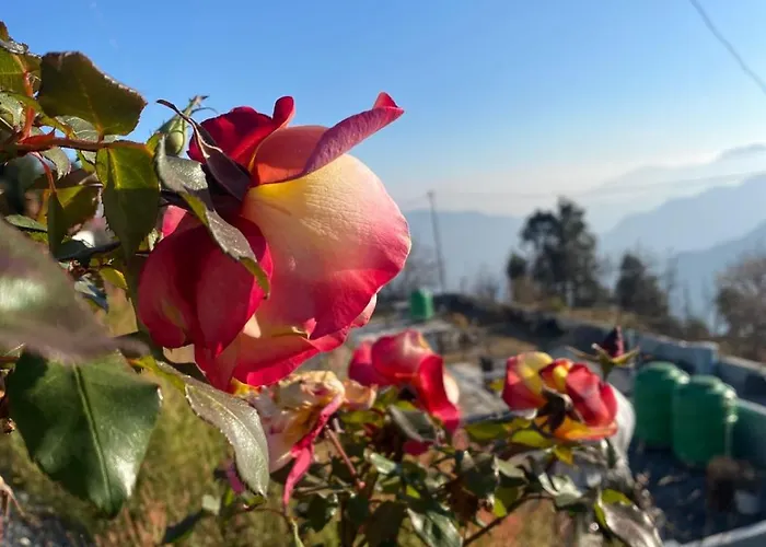 Stone Rose Vista