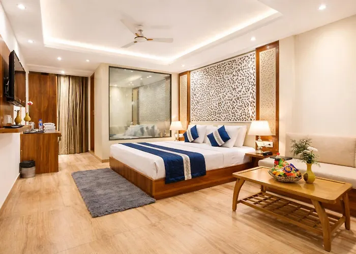 Hotel Viva Palace By Opo,Free Airport Pick Up & Drop New Delhi