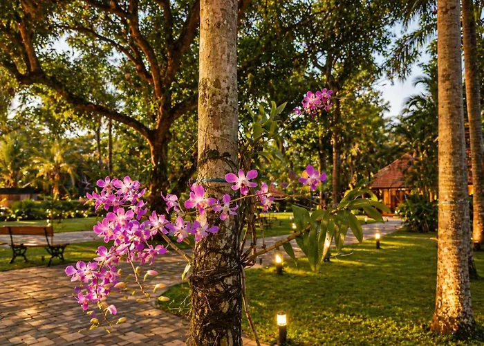 Aaria Beach Resort And Spa