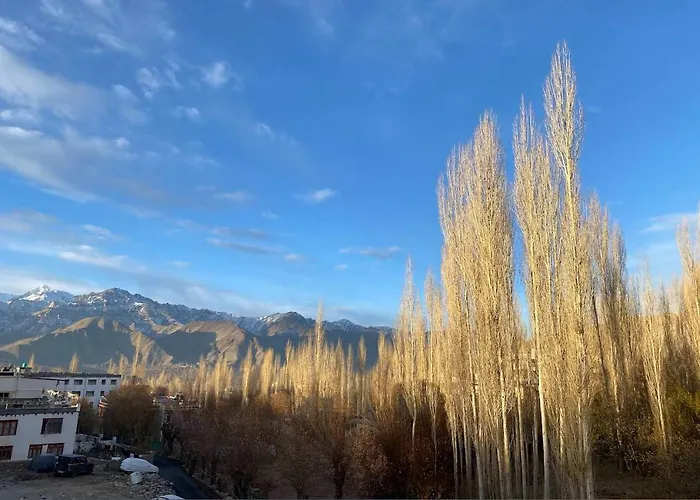 Yarab Tso