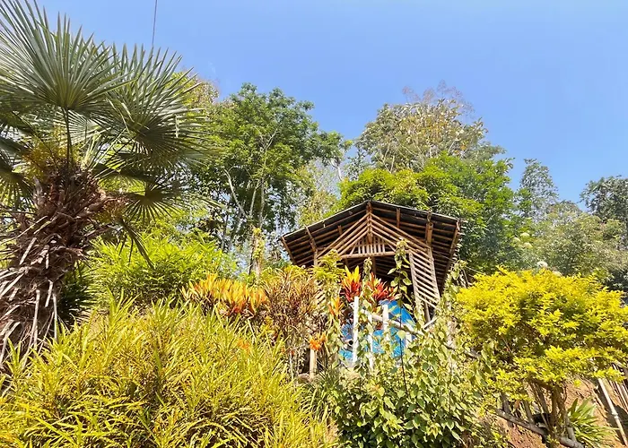 Live In Nature