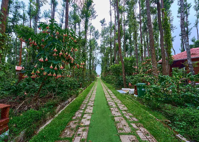 Coffee Grove Resort