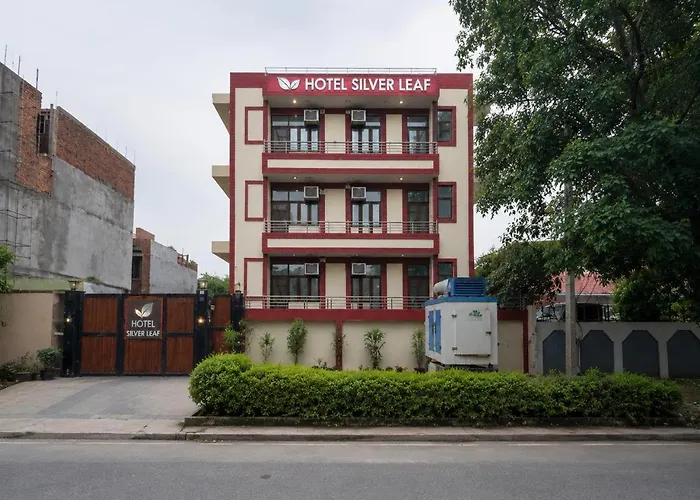 Silver Leaf Noida