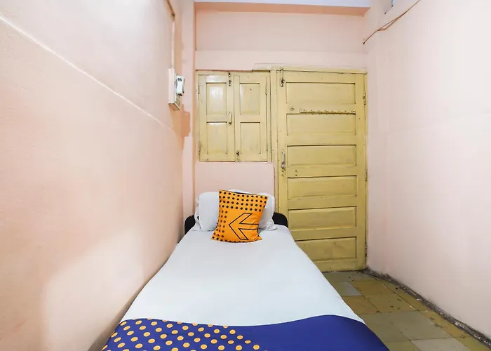 Spot On 65100 Delhi Lodge