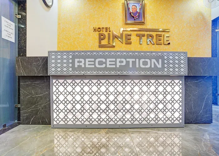 Super Townhouse Pine Tree