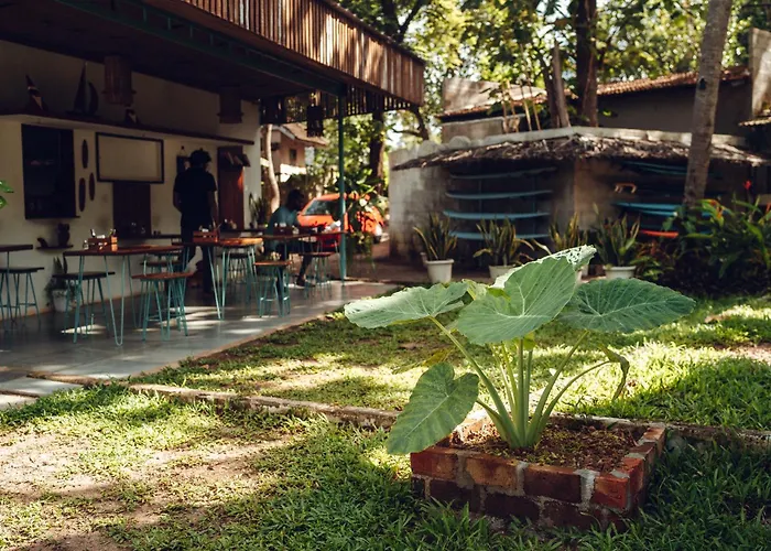 Paddle Cult Surf & Yoga