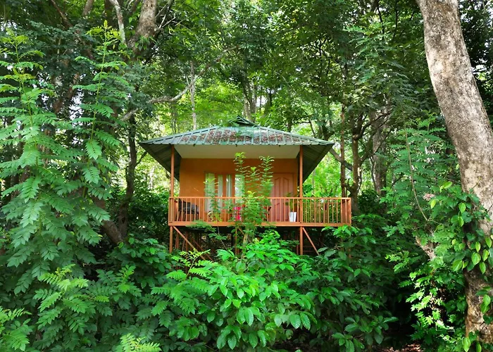 Thennal Jungle Camp