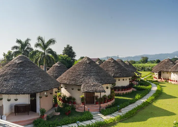 Forest Mud Villas