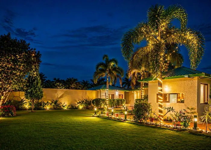Jungle Nest Retreat Resort