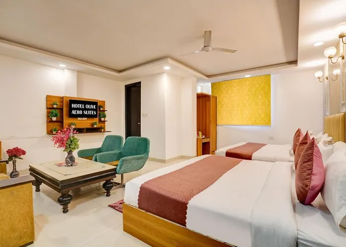 Sky Nest Plaza Inns Near Delhi International Airport