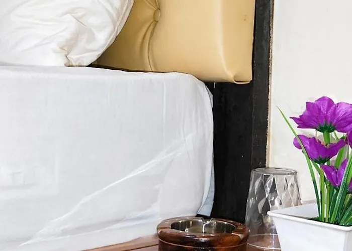 Hotel Mayur Lodge