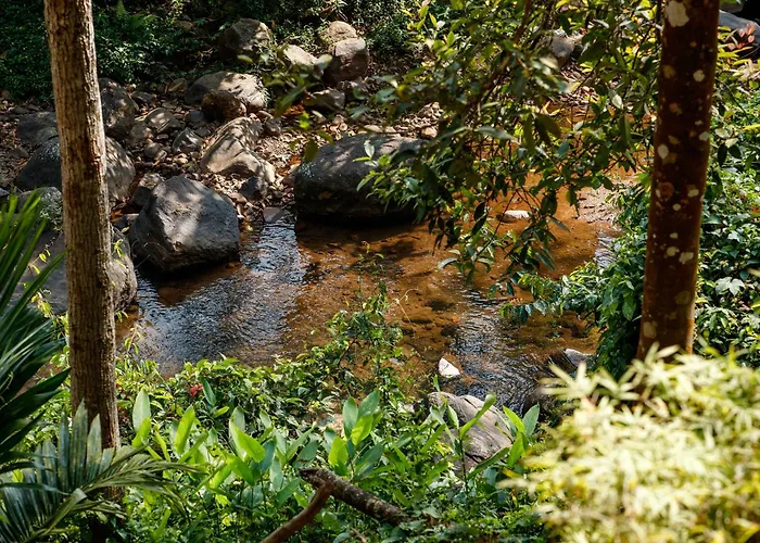 Vynza Resort Vythiri