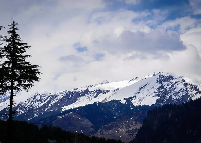 Peakaboo Manali