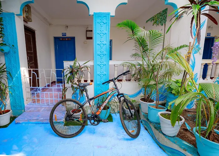 Vllk Resort Near Arambol Beach North Goa
