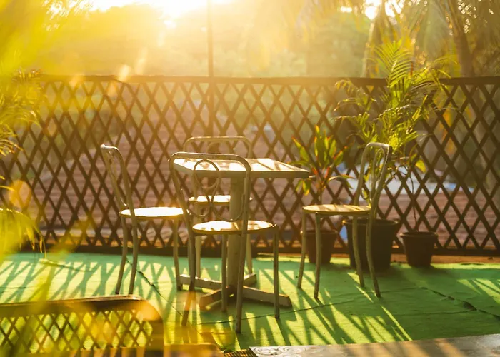 Triboroots Hostel