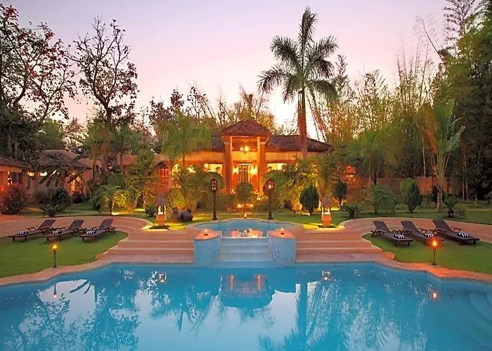 Tuli Tiger Resort