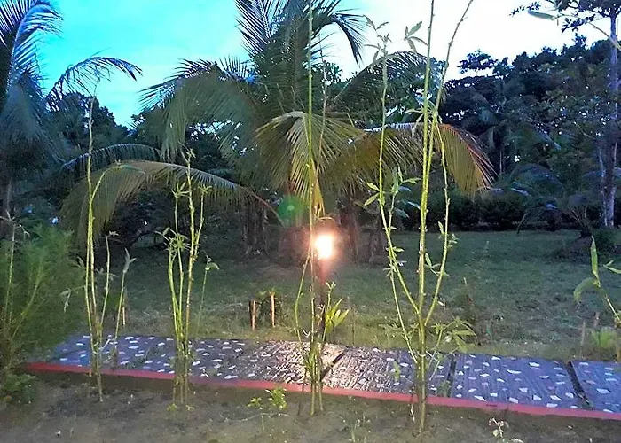 Pristine Beach Resort - Diglipur