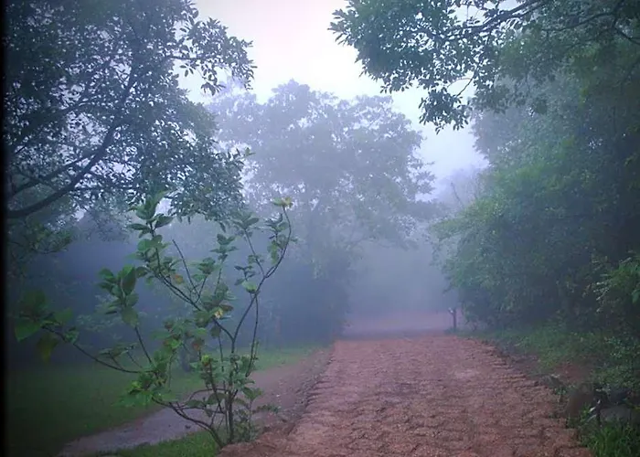 Wildernest Nature Resort