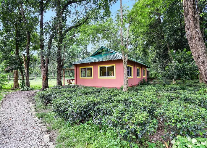 Townhouse Oak Gorumara Jungle Resort