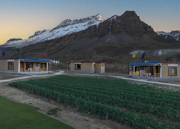 Echor Mud Huts Kaza, Spiti Valley