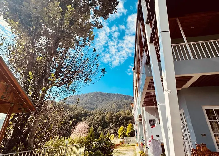 Aranya Wood Resort