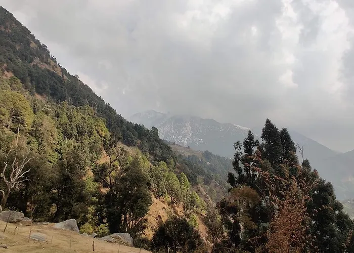 Cafe Himalayan Musaafir & Campsite Kareri