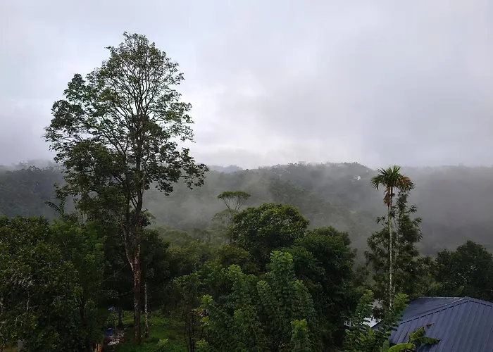 Roaming Souls Hostel Munnar