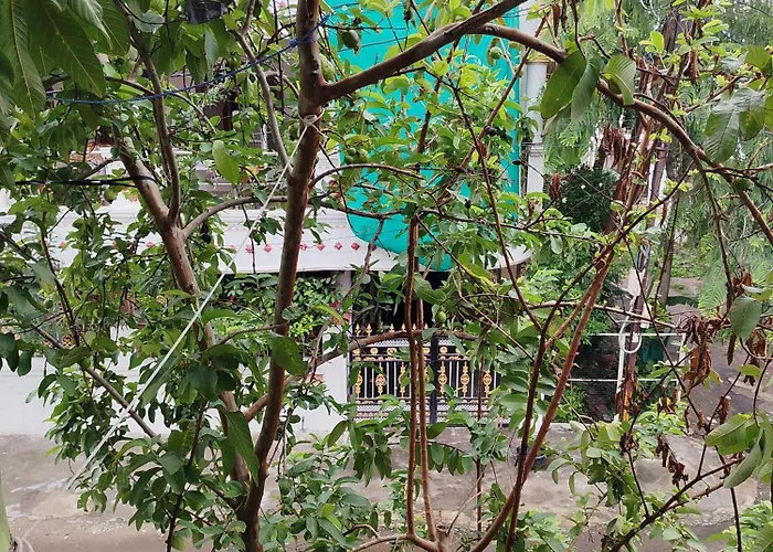 Priyanka Homestay Bhopal