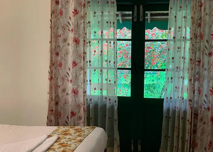 Wayanad Turmerica Premium Pool Resort