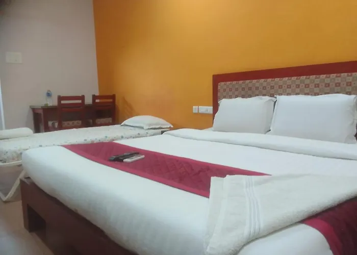 Hotel King Park