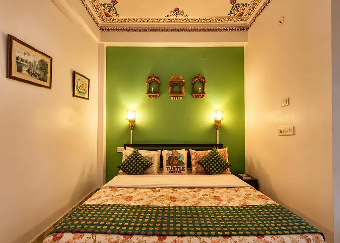 Turtle Hostel Udaipur- Lake Pichola View & Rooftop