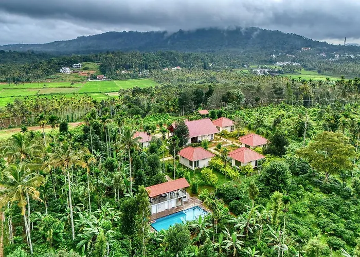 Manayath Wayanad Premium Pool Resort