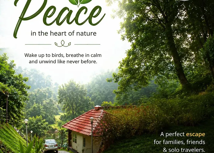 Echo Haven Glamping Tent Munnar