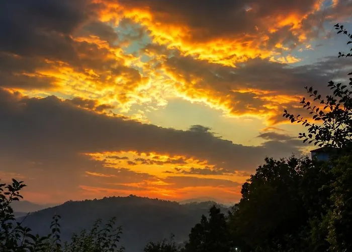 Bliss Of Nature Resort