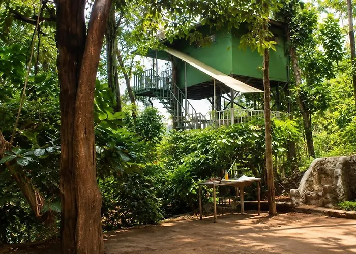 T Hill Vythiri Pool Resort - Family & Couple Bookings Only