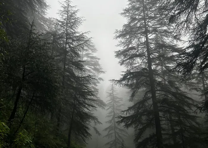 Pahadi Prologue