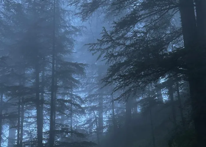 Pahadi Prologue